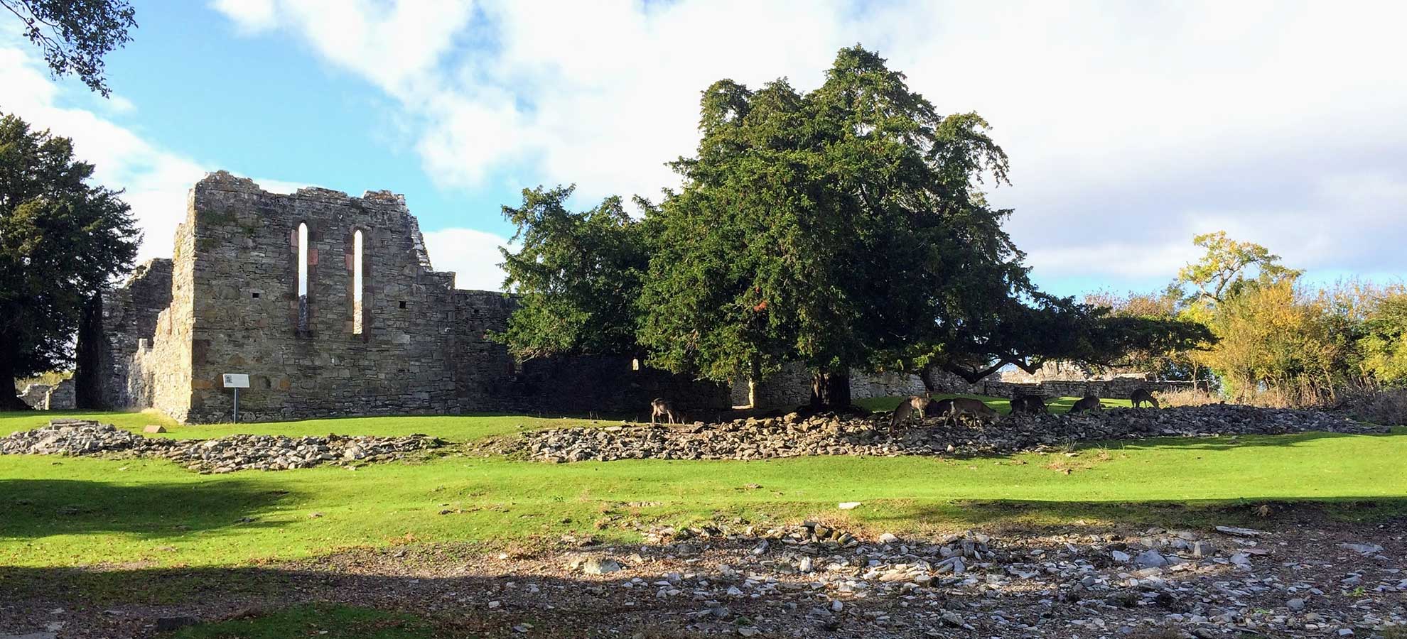 Innisfallen island Monastic site, Killarney